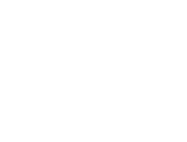 levi.png