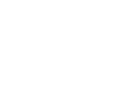 sprint.png